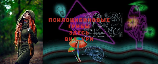 дмт Алзамай