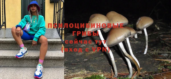 ALPHA PVP Алексин