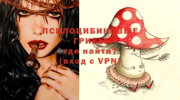 стафф Алексеевка