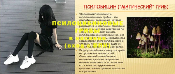 дмт Алзамай